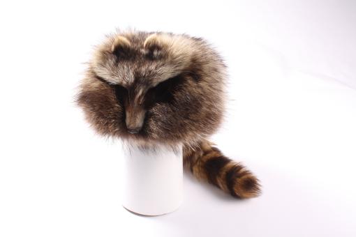 Trapperkappe Daniel Boone + Maske 